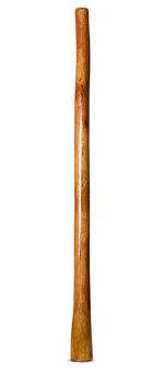 Gloss Finish Flared Didgeridoo (TW1127)